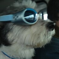 fuzzyweis