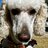 Marshall_m27